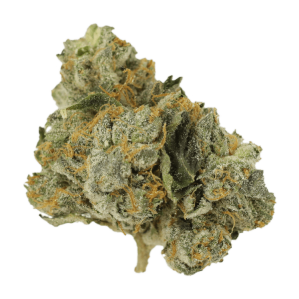 Mango Cream | Green Leaf Express Canada