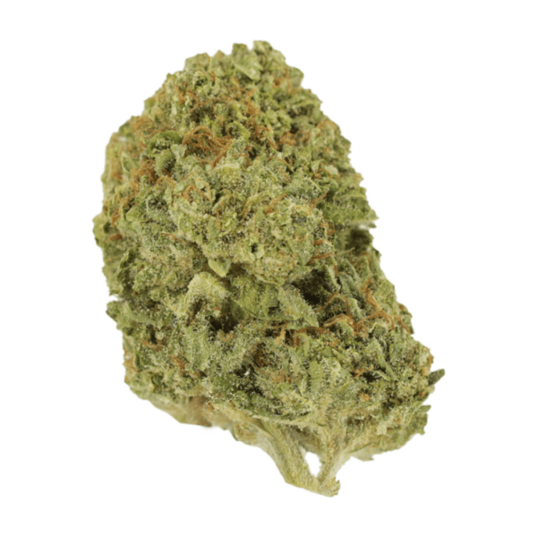 Mango Cream | Green Leaf Express Canada