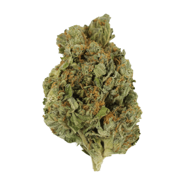 Mango Cream | Green Leaf Express Canada