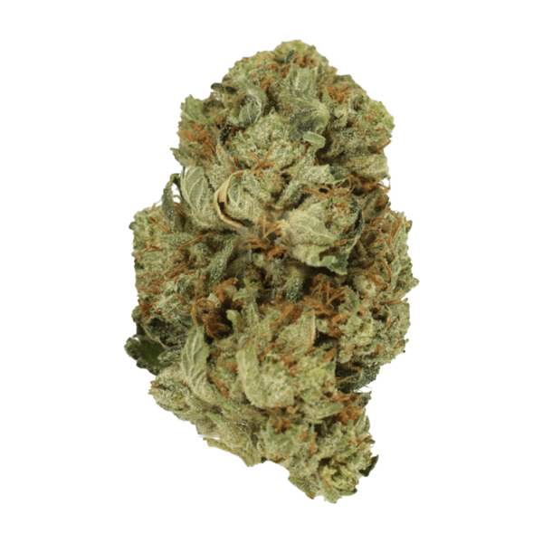 Pink Starburst | Green Leaf Express Canada