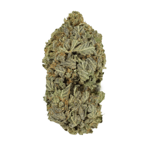 Purple Dream | Green Leaf Express Canada