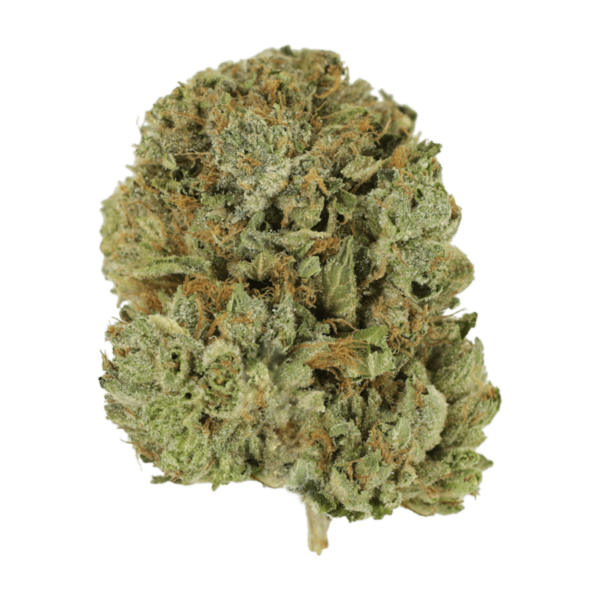 Pink Taco | Green Leaf Express Canada