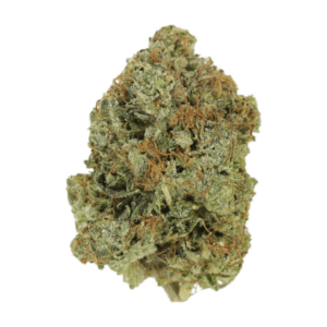 Jack Herer (popcorn) | Green Leaf Express Canada