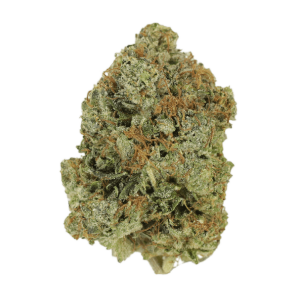 Jack Herer (popcorn) | Green Leaf Express Canada