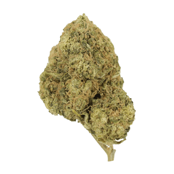 Laughing Buddha | Green Leaf Express Canada