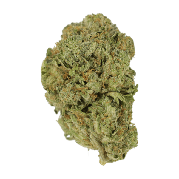 Super Blue Dream | Green Leaf Express Canada