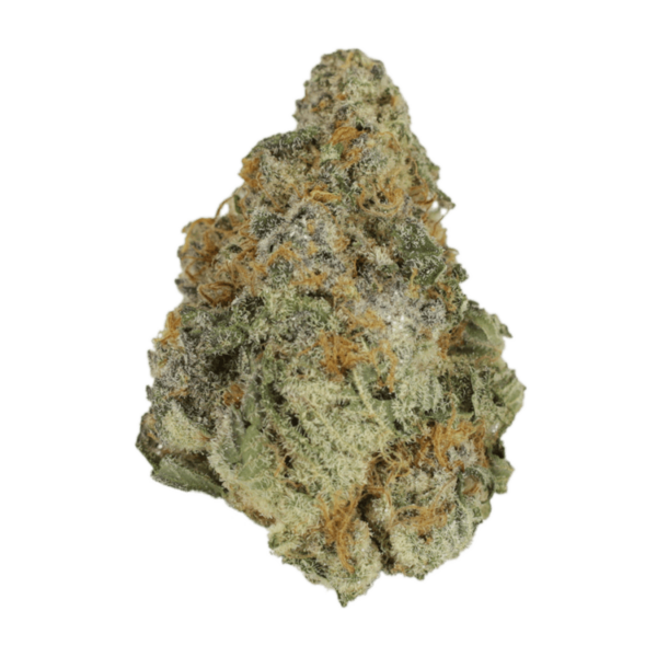 Purple Hindu Kush | Green Leaf Express Canada