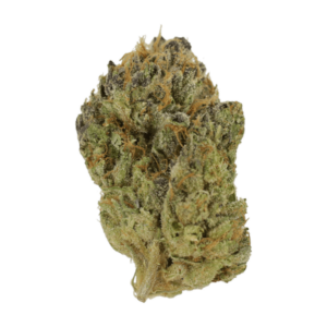 Blueberry Muffin | Green Leaf Express Canada