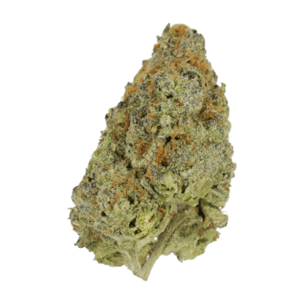 Lilac Diesel | Green Leaf Express Canada