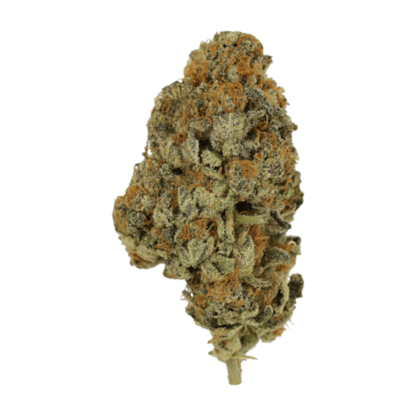 Key Lime Pie | Green Leaf Express Canada