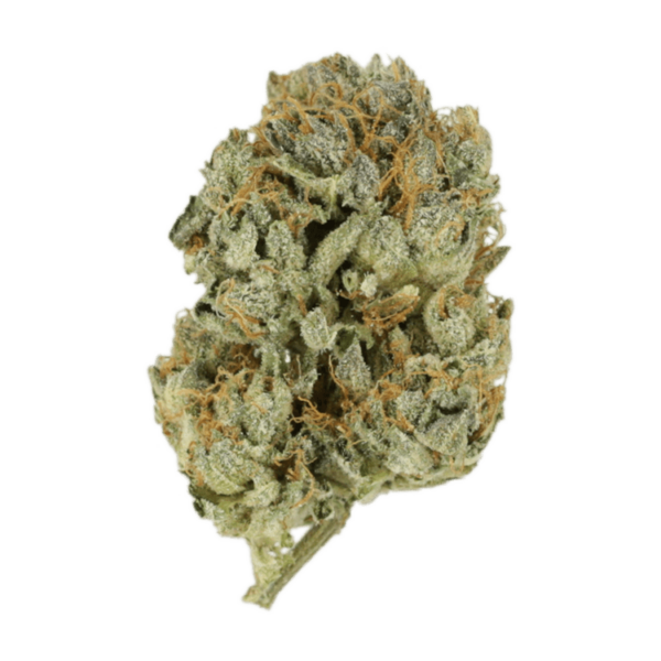 Kashmir Kush | Green Leaf Express Canada