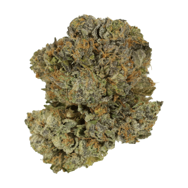 Chocolate Mint | Green Leaf Express Canada