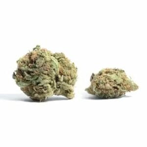 White Truffle (Popcorn) | Green Leaf Express Canada