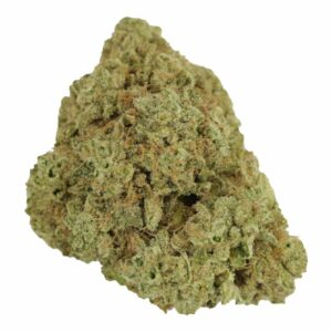 Rainbow Driver | Green Leaf Express Canada