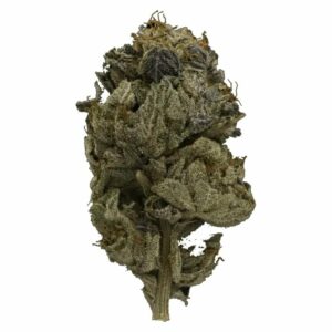 Green Leaf Express Canada - Pink Gas Strain | Green Leaf Express Canada