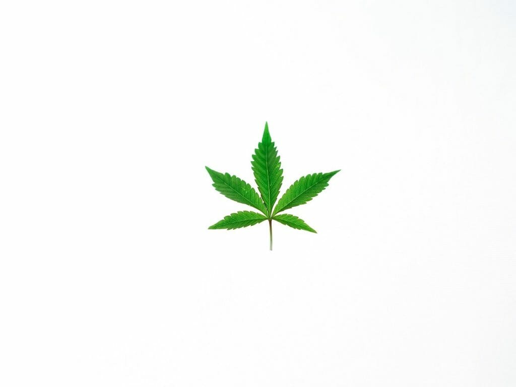 Benefits of Shopping in a BC weed Online Dispensary | Green Leaf Express Canada