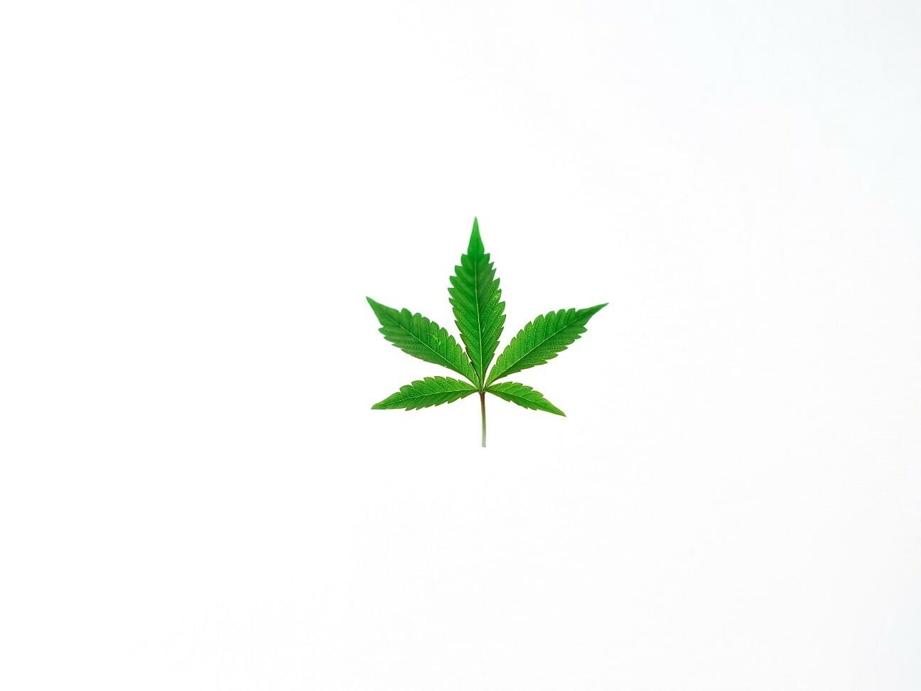 Benefits of Shopping in a BC weed Online Dispensary | Green Leaf Express Canada