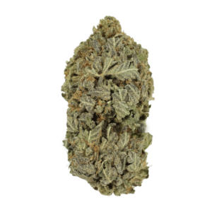 Purple Mimosa | Green Leaf Express Canada