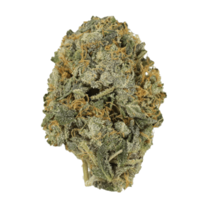 Chocolate Lava | Green Leaf Express Canada