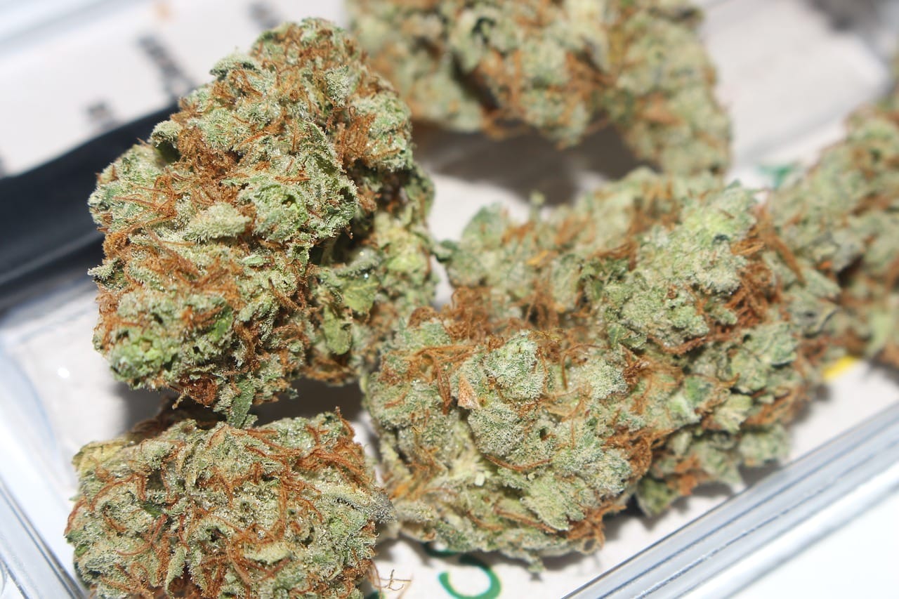 Hybrid weed Strains | Green Leaf Express Canada