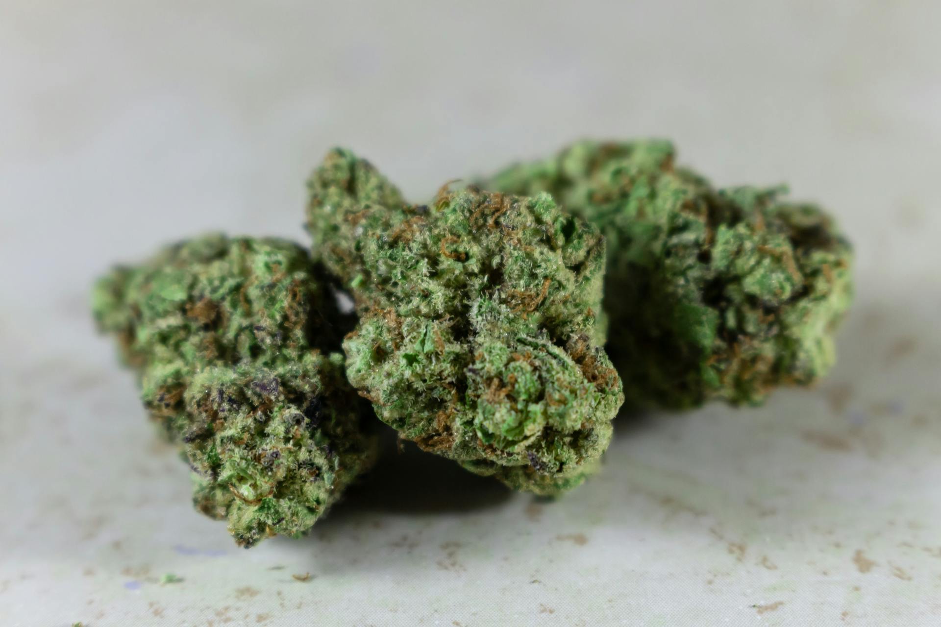 Best Indica Online in Canada | Green Leaf Express Canada