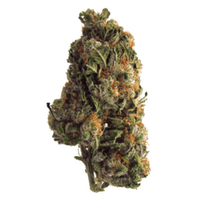 Grape Crush | Green Leaf Express Canada