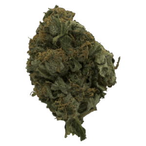 Glitter | Green Leaf Express Canada