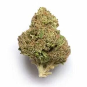 Supersonic | Green Leaf Express Canada